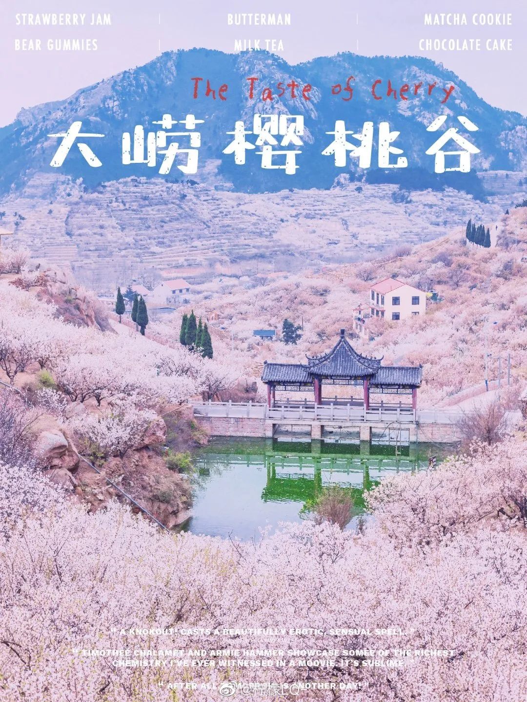 青岛大崂樱花谷图片