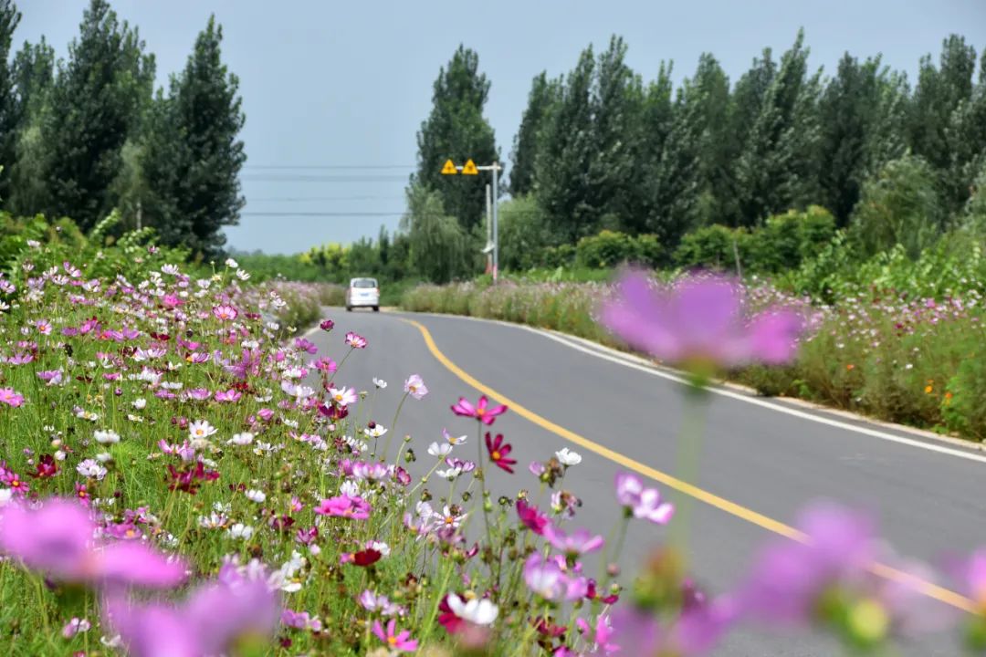 乡村路如何成为幸福路听听局长的心里话