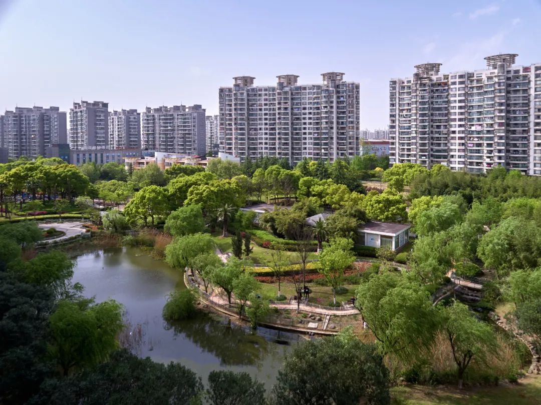 真新街道精细治理打造现代化新型社区