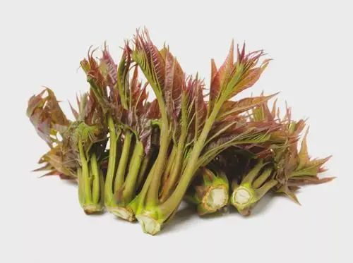 游柞水吃野菜探寻春天的味道