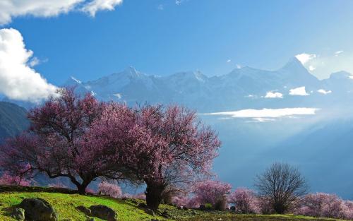 什么人用吸氧机温州交通广播赵文博、经济广播谷子邀您开启西藏天路之旅！_https://www.jmylbn.com_新闻资讯_第2张