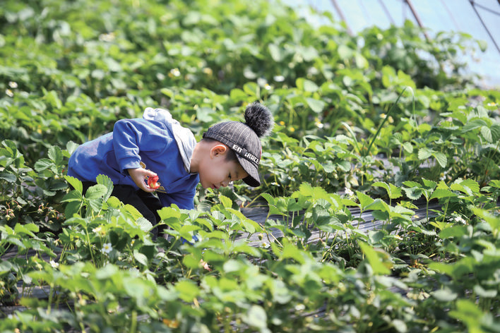 我市稳步提升农业产业化水平2020年规上农产品加工业产值达5127亿元