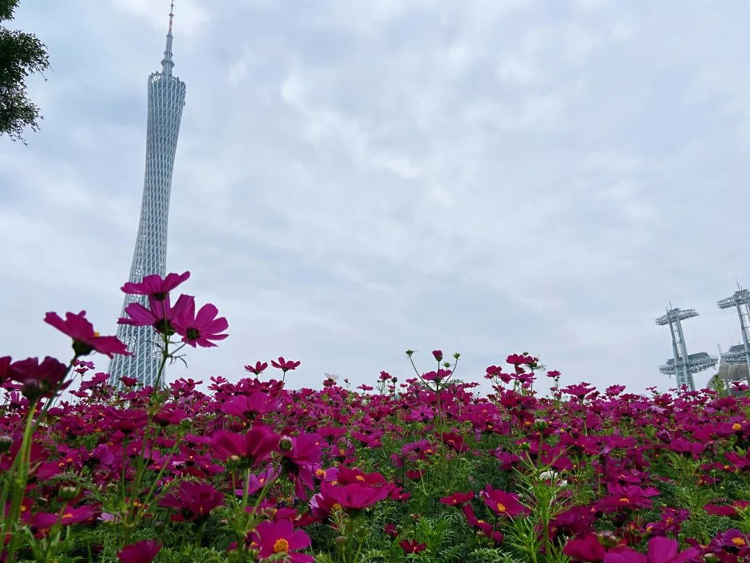 广州海心沙2022春节图片