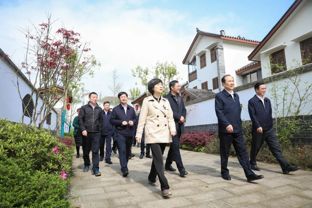 张轩率队赴渝北区调研农业面源污染防治工作