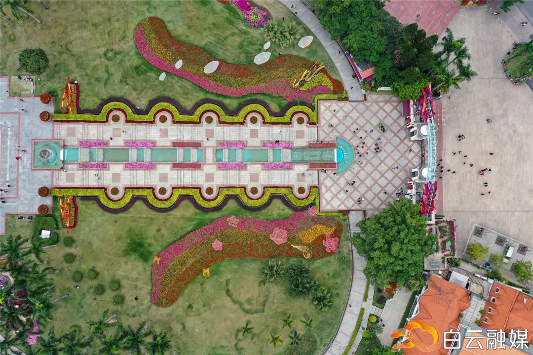 赏花要趁早白云又一花海来袭玫瑰紫荆飞燕草