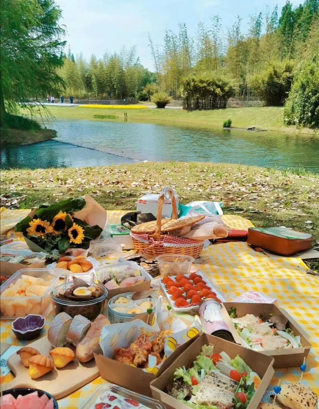春光明媚松江这些地方超适合野餐走起