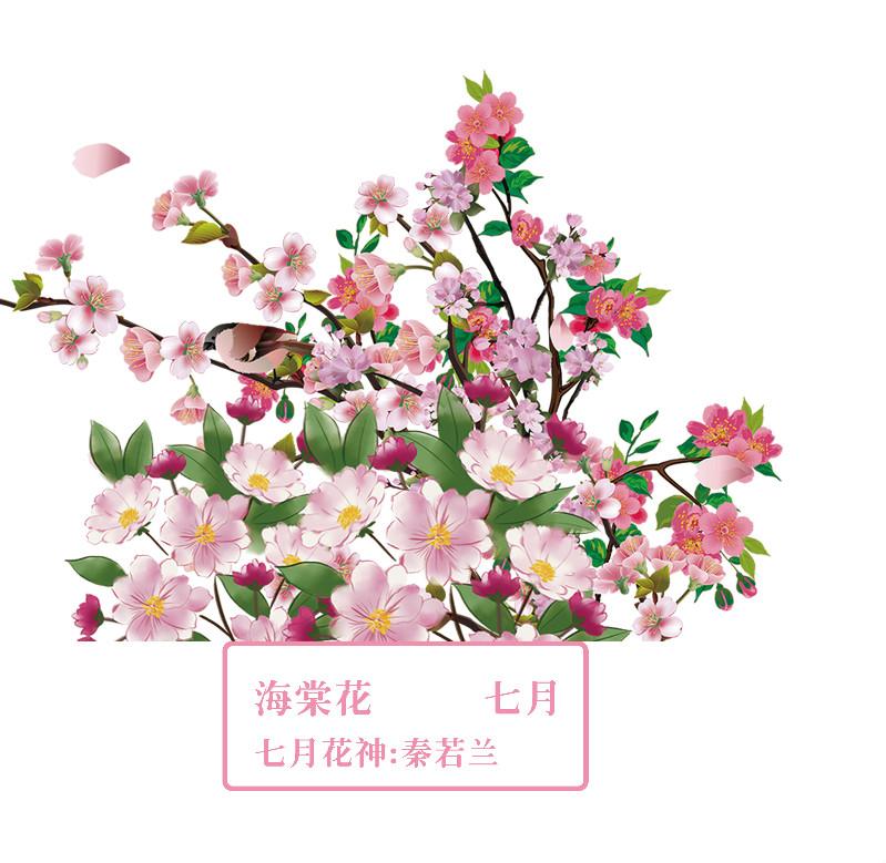 你好 花博 你知道十二花神吗