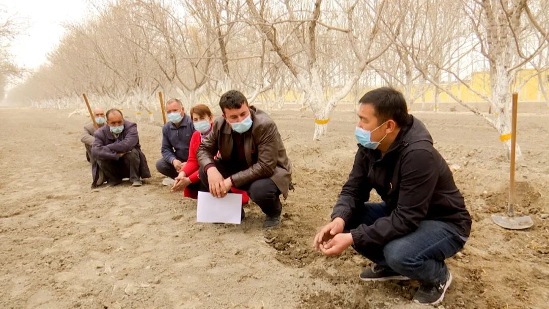 莎车县农业技术推广中心驻乌达力克镇依提帕克村"访惠聚"工作队队长