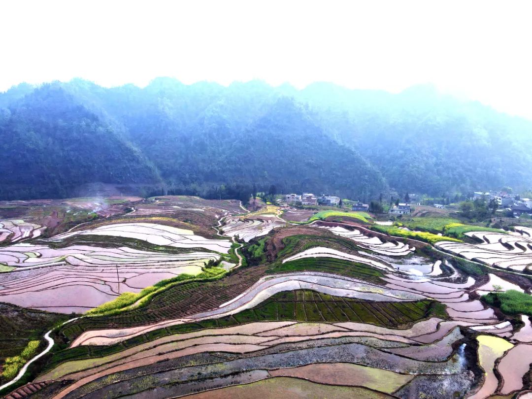 道路已全部硬化,海拔1000米左右,东邻兴隆乡,南邻保隆村,西邻落雁村