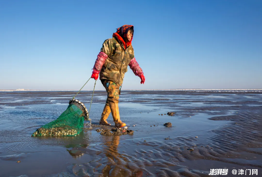 津门网刘士荣最美劳动者赶海的人们