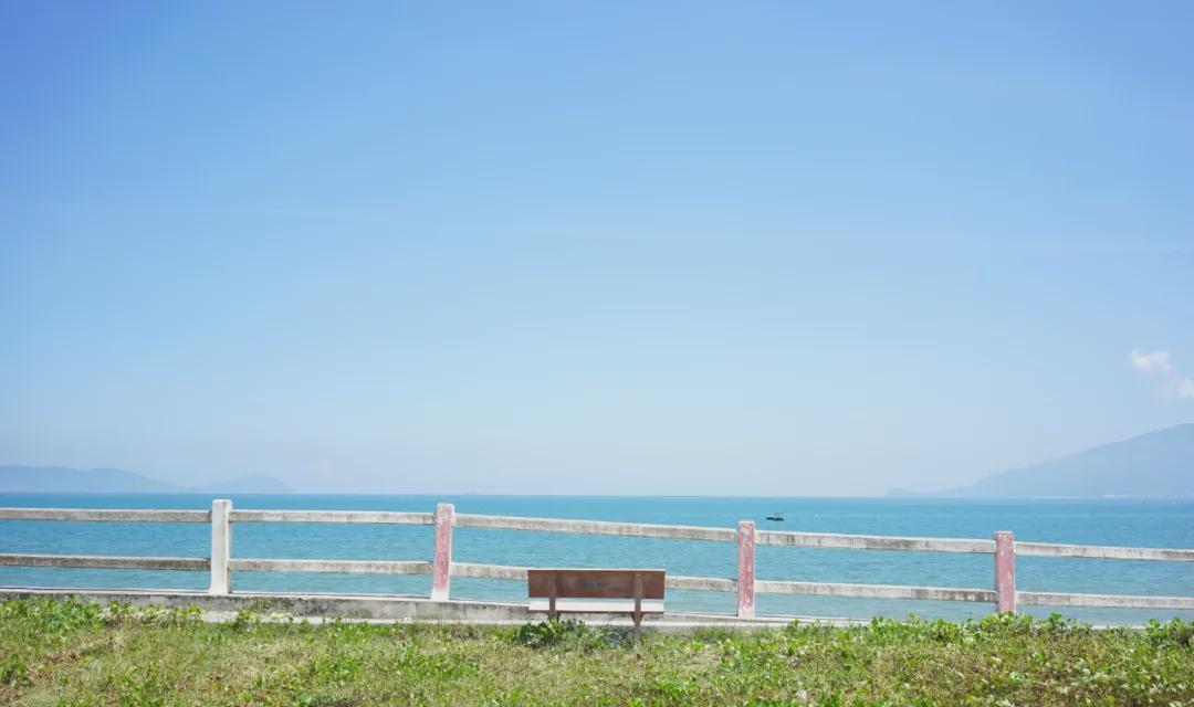 06晨雨时光小马在草坡上一跳一跳这青色麦地晚风吹拂在这个时刻   我