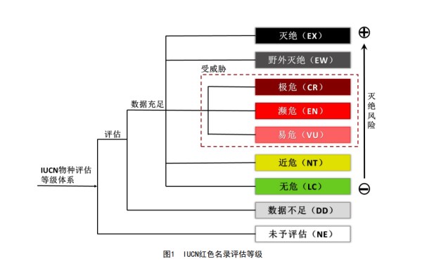 iucn物种濒危等级图片