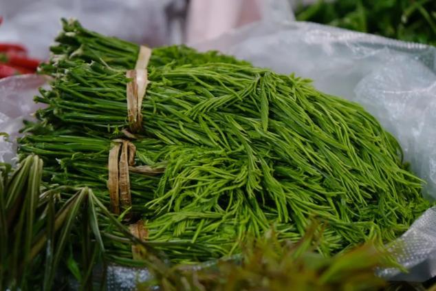 臭刺茅带有特殊的"香味",菜市场中也比较常见,它生长的环境,一般会在