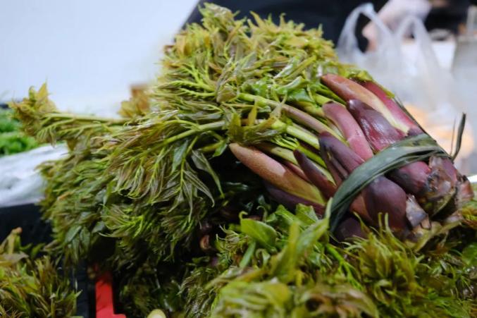 每年的3月-4月,山间可以采摘到一种野菜,它全身长满尖锐的利刺,长在