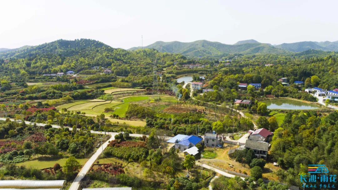 一村一品奔小康丨助力长株潭一体化发展金屏融城小镇首个田园综合体