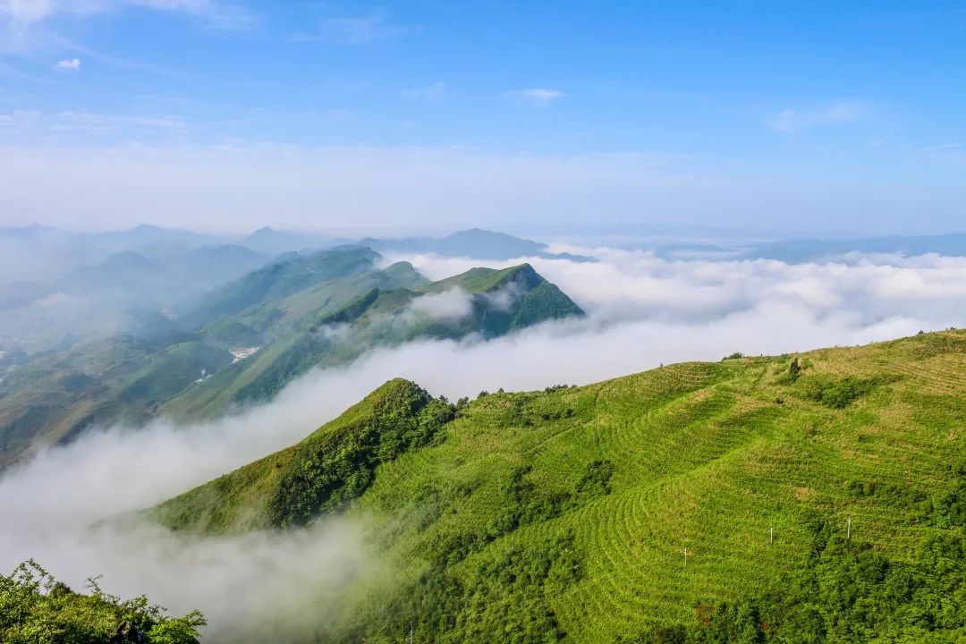 云浮云雾山风景区图片