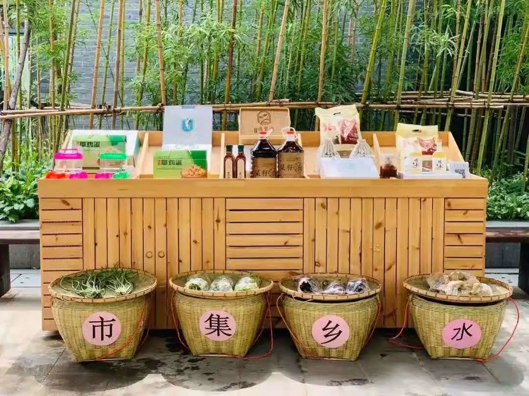 周末游湖熟感受水乡田园的春日美好