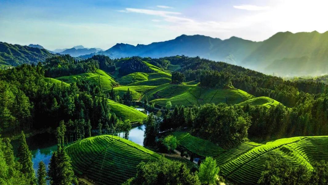 67湖北清新茶韵之旅赏绝美山水图品千年茶文化