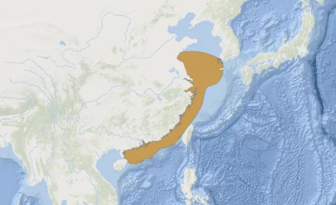 大黄鱼在我国近海及附近海域的资源分布图 图源:搜狗百科