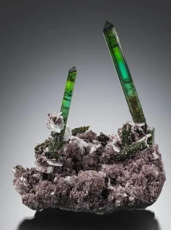 近500件奇珍异宝来闵行免费展出,其中数十件获大世界基尼斯记录!