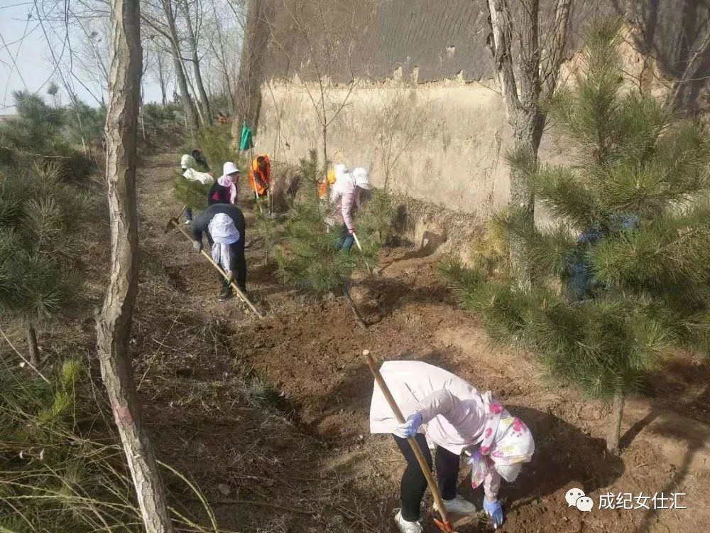 巾帼风采巾帼绿色行动静秦公路上的种花使者