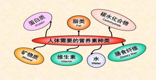 成长不烦恼你好营养素一