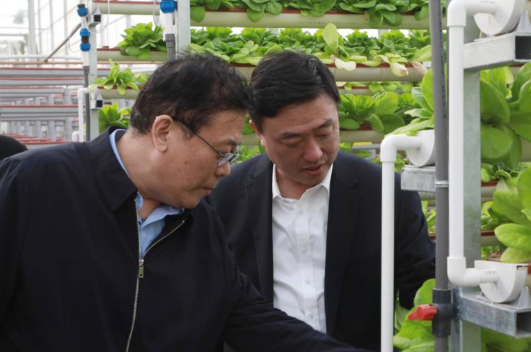 河北省科学院专家来我县就相关工作会商洽谈