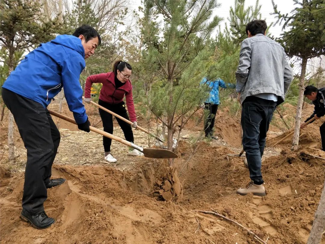 见缝植绿宜绿尽绿达拉特旗掀起全民植树造林新热潮