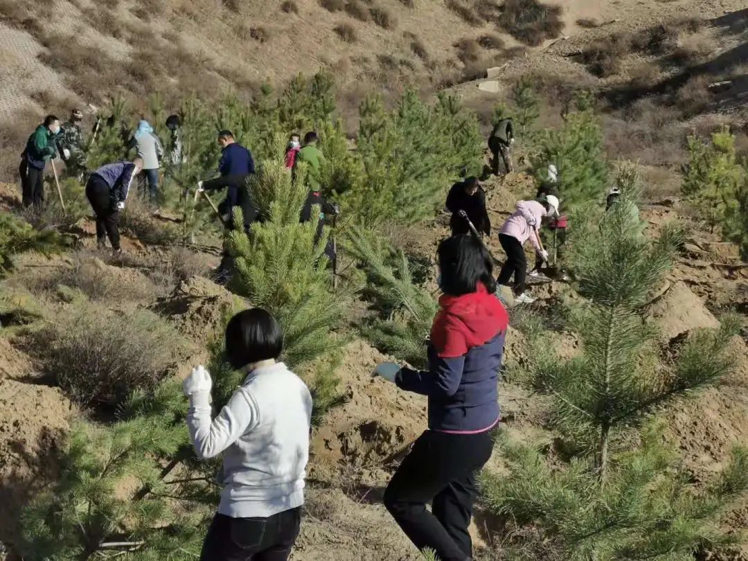 見縫植綠宜綠盡綠達拉特旗掀起全民植樹造林新熱潮