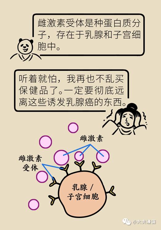 原创 熊猫医学 小大夫漫画 收录于话题#乳腺癌10#癌变2#雌激素6#催乳