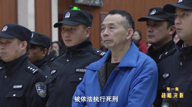 犯故意杀人罪的杜少平被依法执行死刑 受到了法律应有的严惩