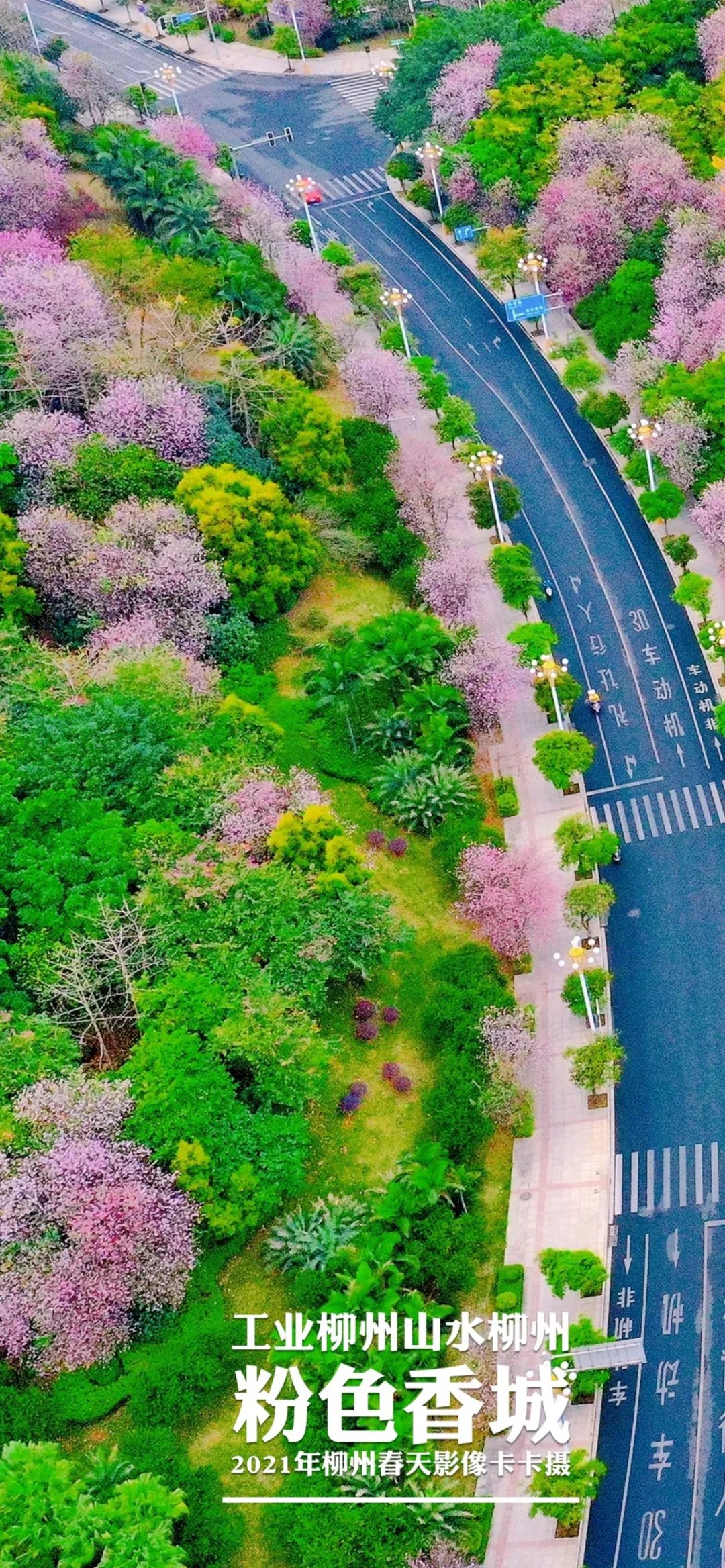 2021-03-27 12:27柳州日报社官方澎湃号柳报传媒微报