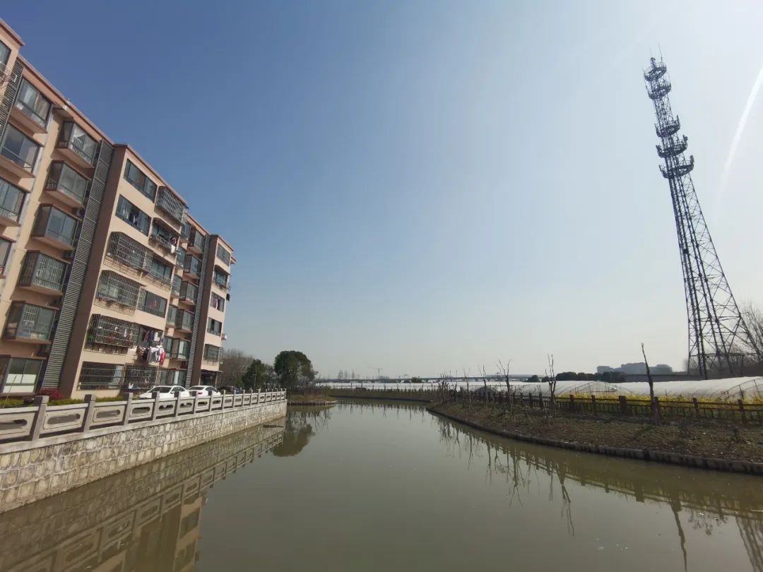 群众利益无小事,一枝一叶总关情,华新镇凤溪社区居民委员会党员干部