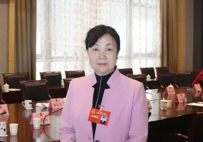 代表委员看法院马英法治安康建设需要全社会共同努力