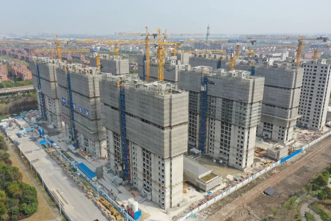 共6431套宝山罗店这7处动迁安置房又有新进展