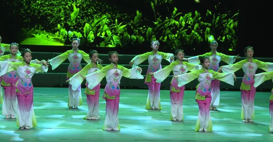 一袭水袖丹衣 一曲醉人惊梦茶调客韵是赣南昔日山茶花今朝开得更烂漫