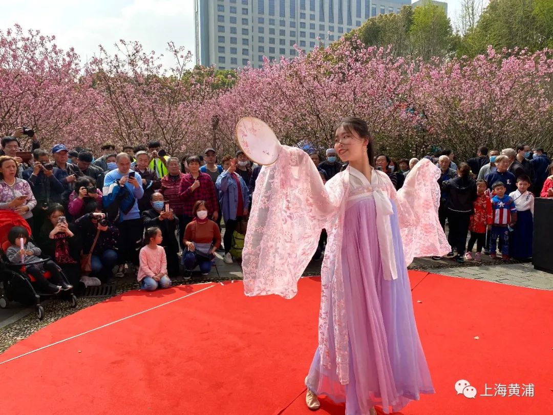 赏海棠、学插花、穿汉服……人民公园海棠文化节开幕!_澎湃号·政务_澎湃新闻-The Paper