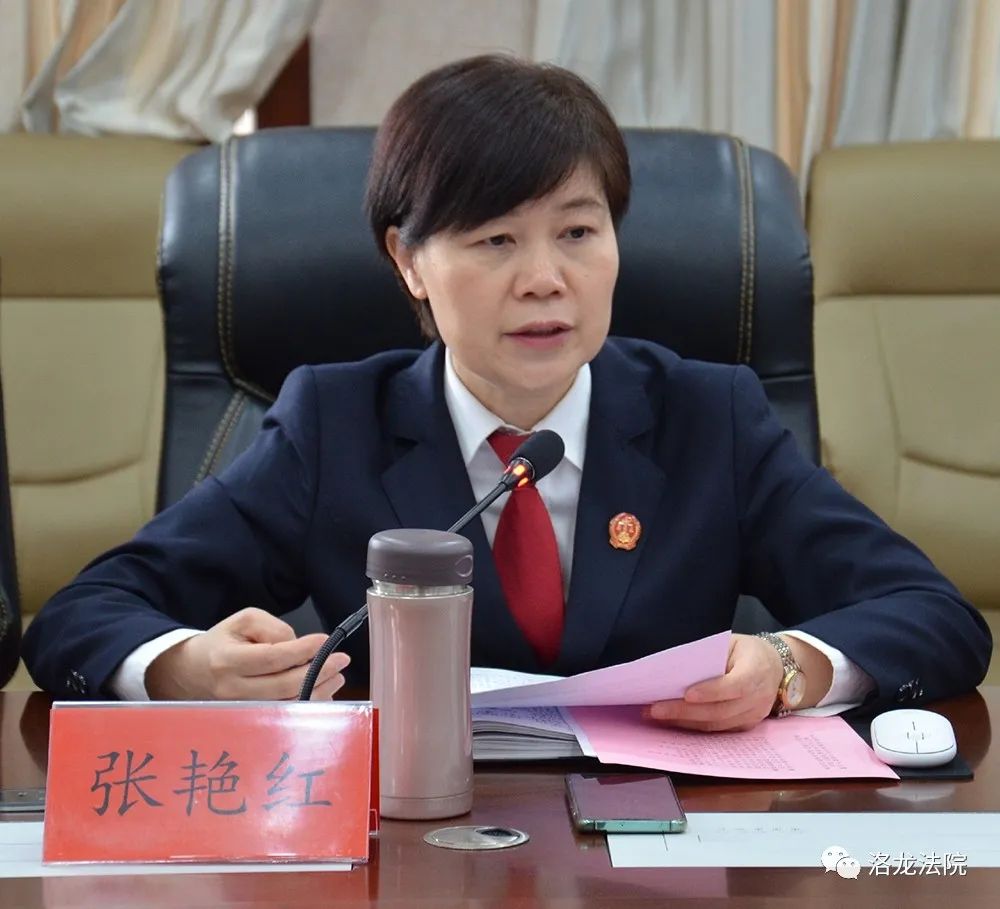 洛龙区法院召开聘请廉政监督员及专项教育整顿观察员座谈会