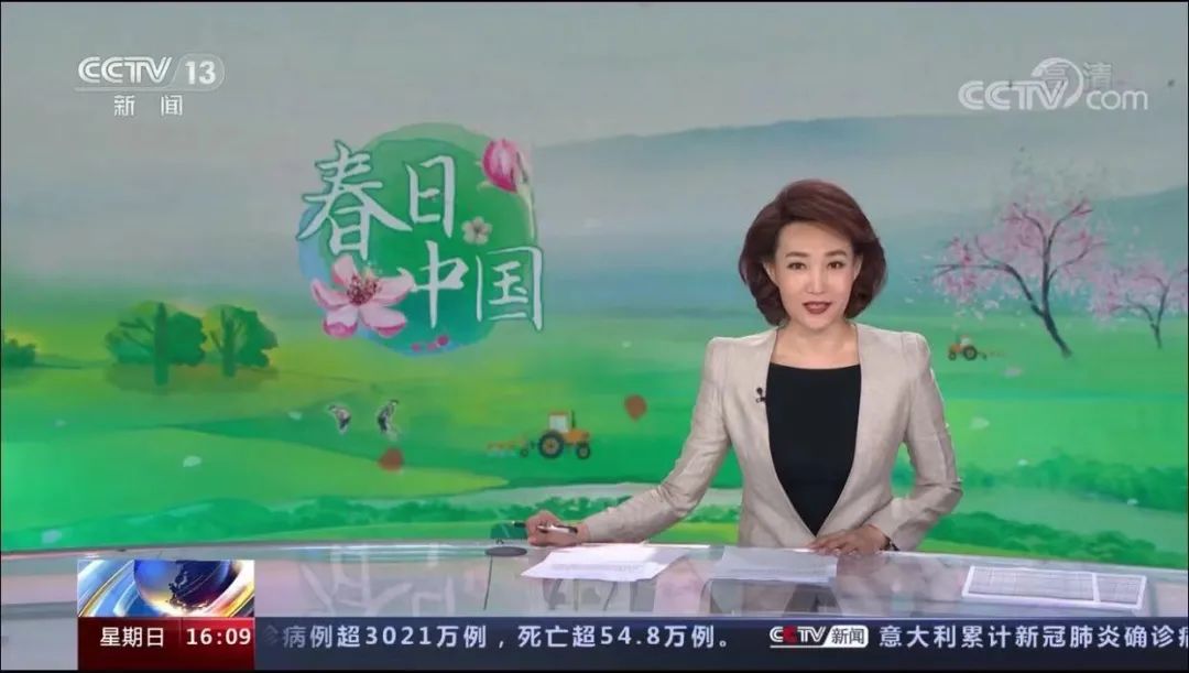 2014年中央电视台春图片