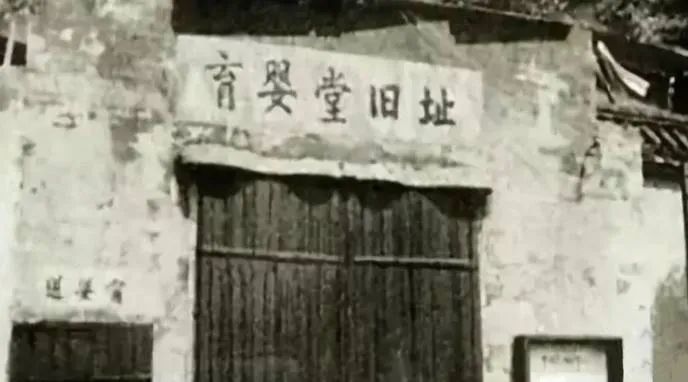 传承人 早就火出圈的中华第一丸,宝妈一定看过来!_媒体_澎湃新闻-th
