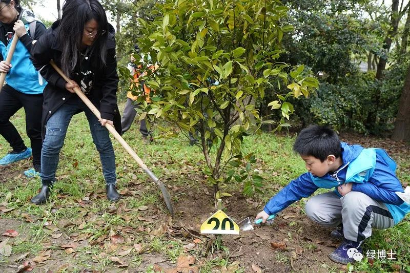 種樹人相聚濱江森林公園兌現了這個百日約定