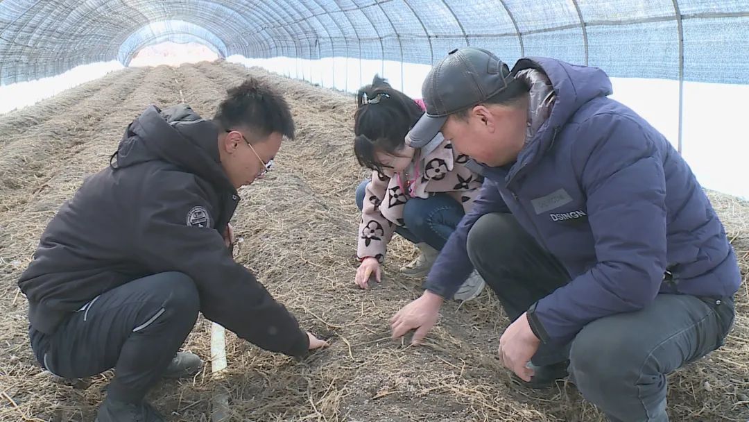 讷河市佳禾家庭农场负责人徐志军说,到贵州考察学习了一些经验,取人之