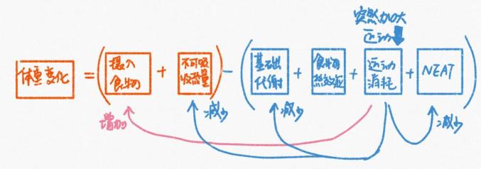 运动减肥_减肥运动最快效果最好方法_减肥运动有哪些项目