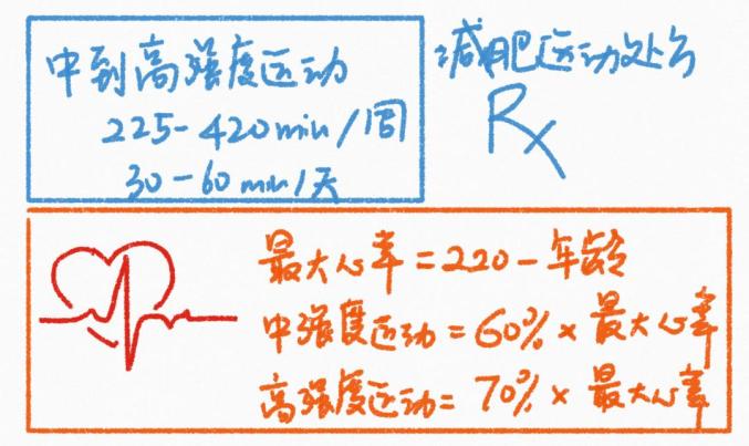 运动减肥_减肥运动最快效果最好方法_减肥运动有哪些项目