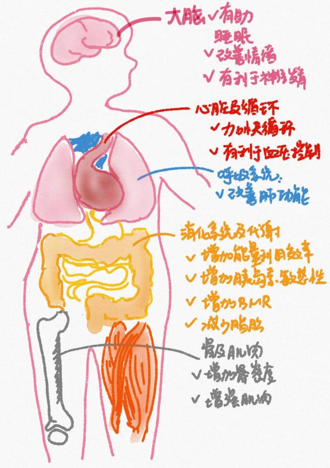 运动减肥_减肥运动最快效果最好方法_减肥运动有哪些项目