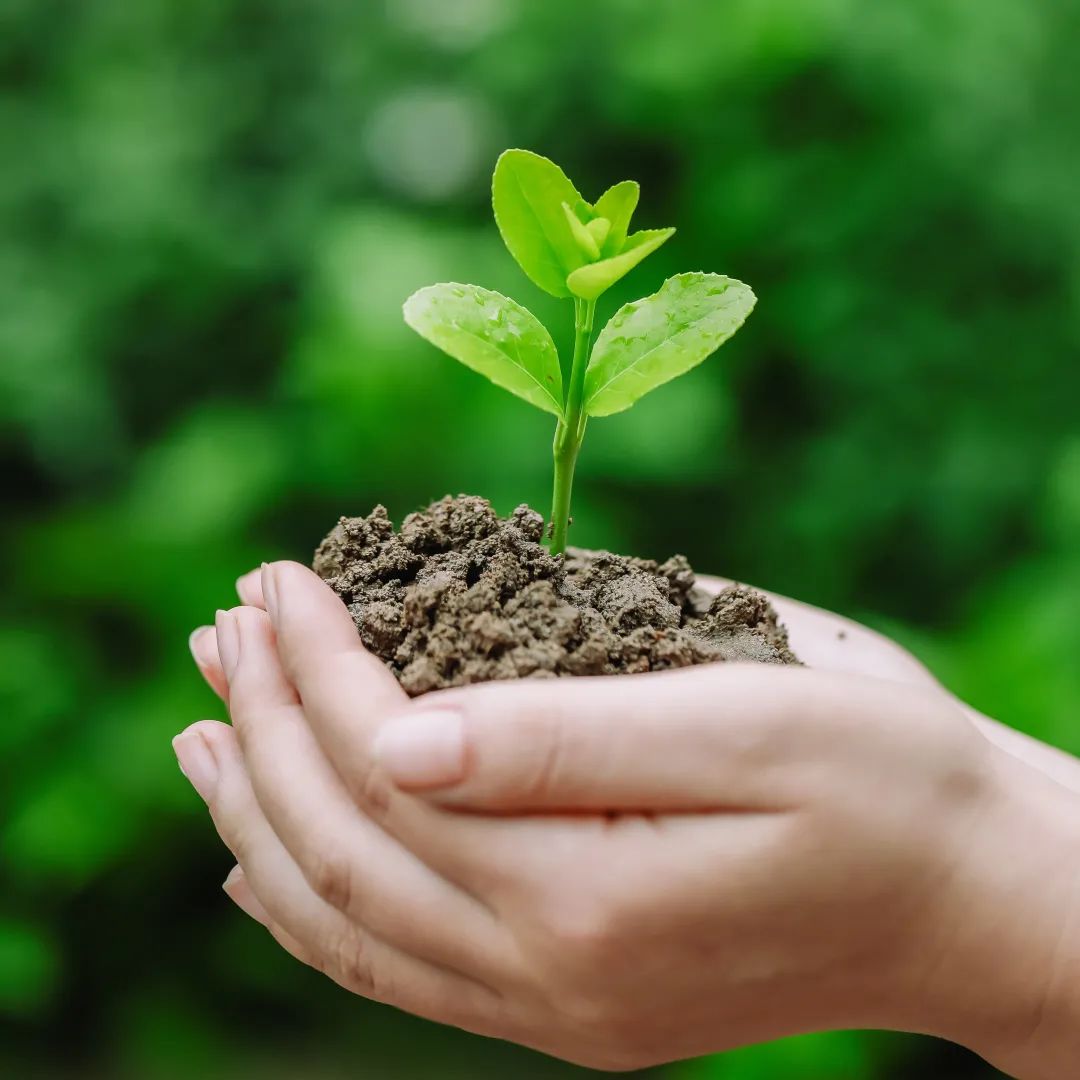 从小,藏蓝梦便在阿敏心中扎下了根.种子一旦萌芽,很快便会破土而出.