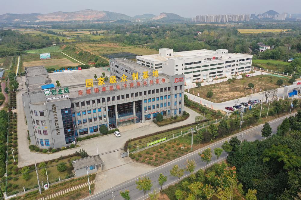 铜陵国家农业科技园区为实施主体的铜陵市义安区农村产业融合发展示范