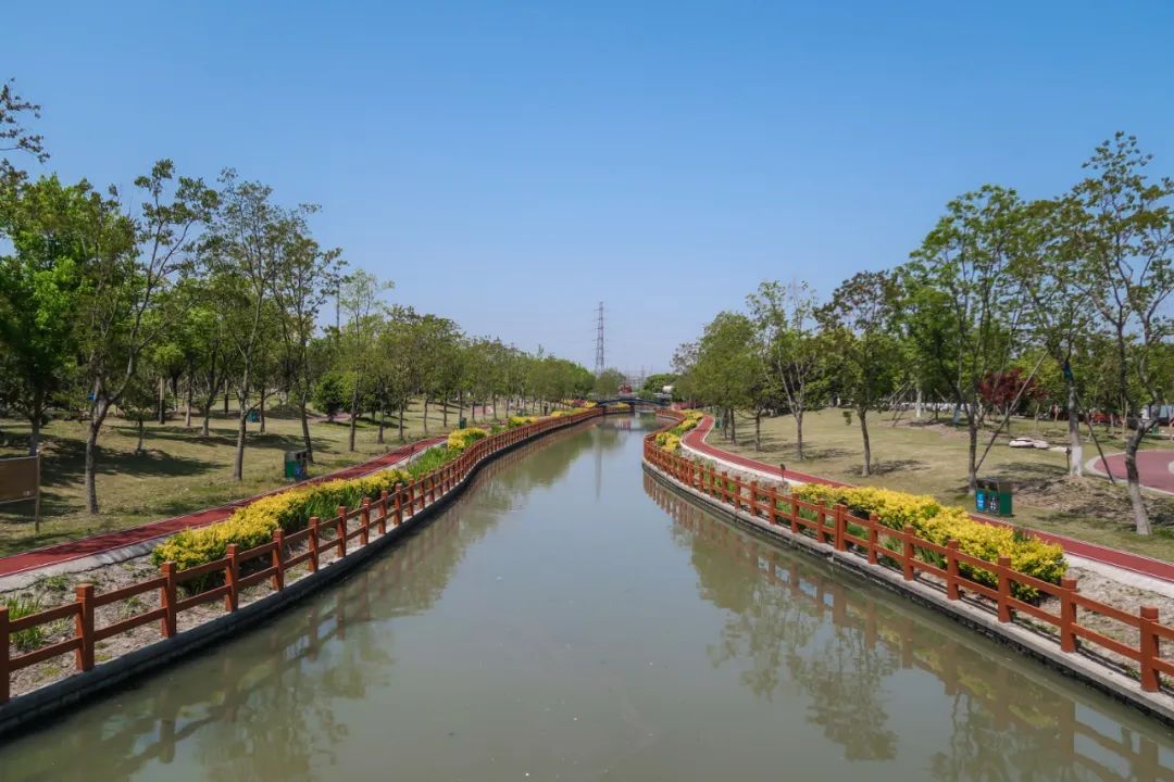 春暖花開松江這4條親水綠道都美成風景67哪一條在你家附近