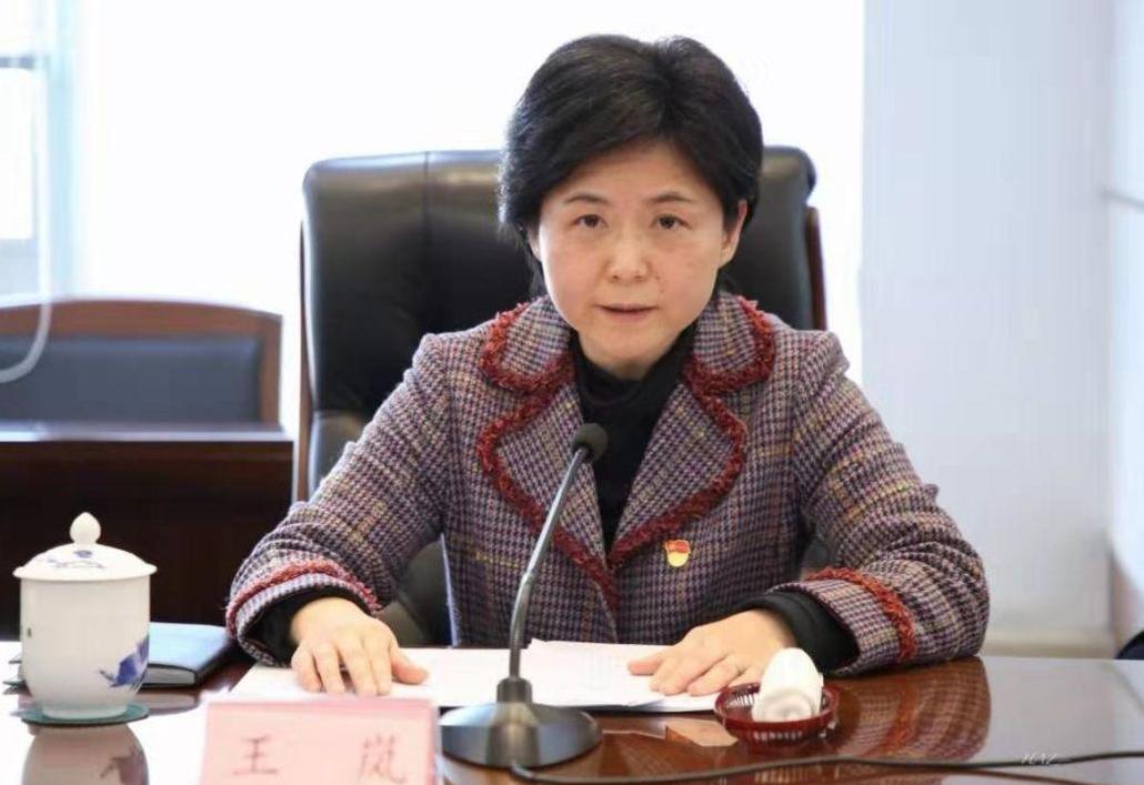 直辖市辖区)中至少有三位"70后"女性党委书记,其中王岚是最年轻的一位