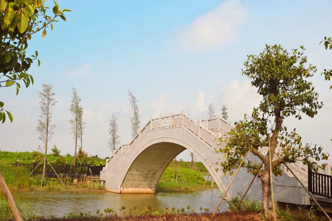 湿地科普馆建筑是经典的岭南风格女生若是身着旗袍任选一面青砖作背景